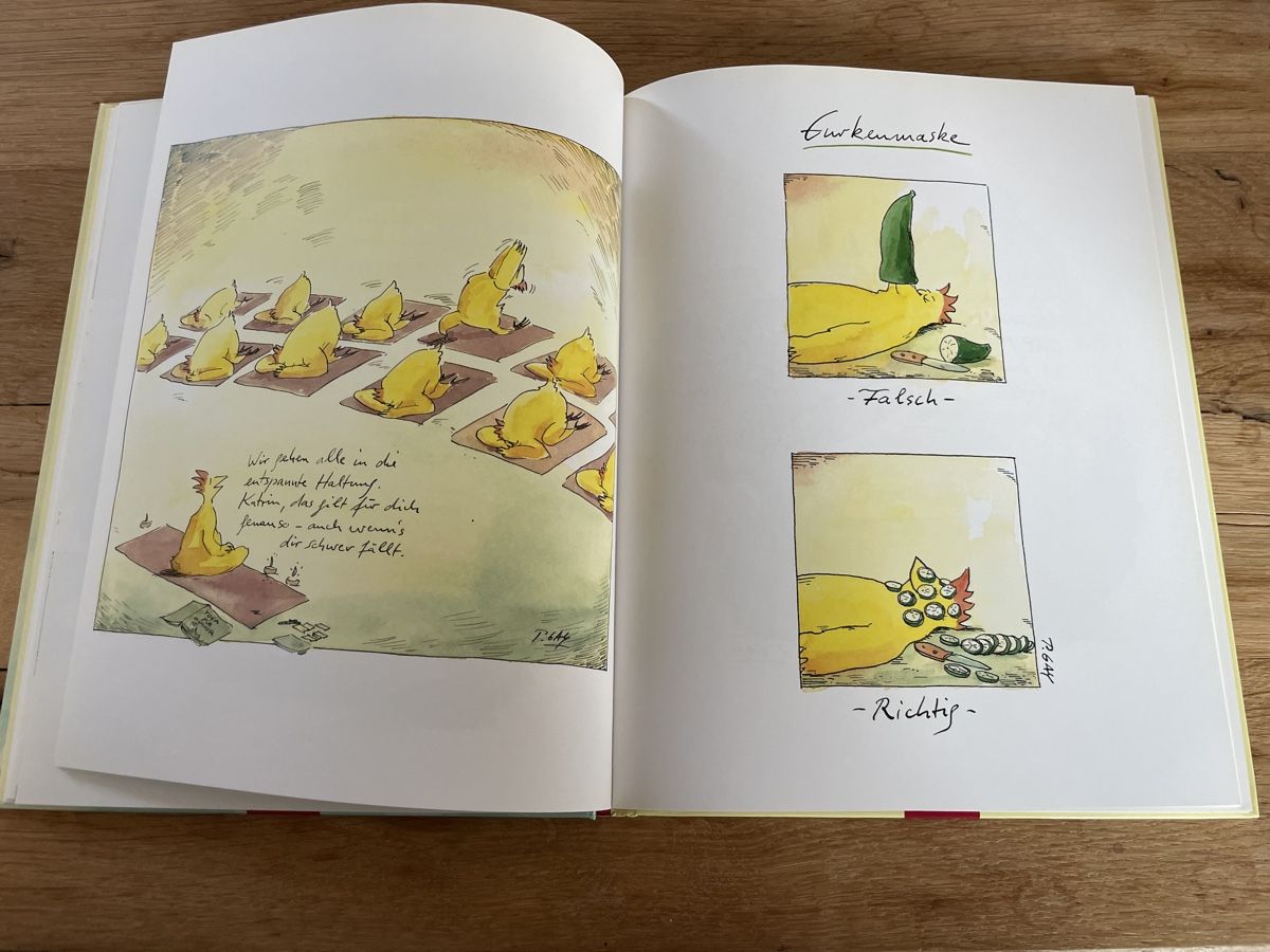 Fumetti: Peter Gaymann - Wellness-Hühner Buch – Usato da Winterthur venduto da cheerio97 5