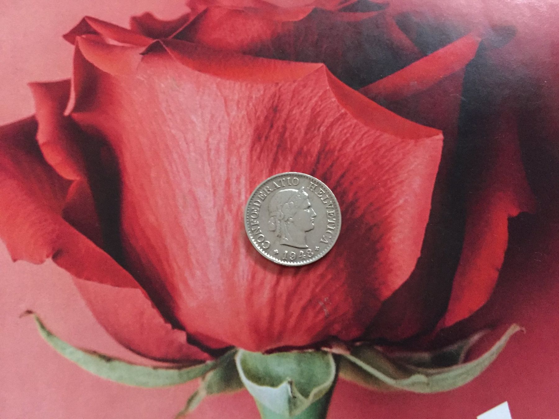Tutti le monete: 5 Rappen 1948 -vz – Usato da Elsau venduto da herbybay 3