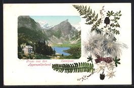 AK Seealpsee, Gesamtansicht mit Gasthaus