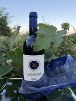 Bouteille Sassicaia 2016 100/100 Parker 
