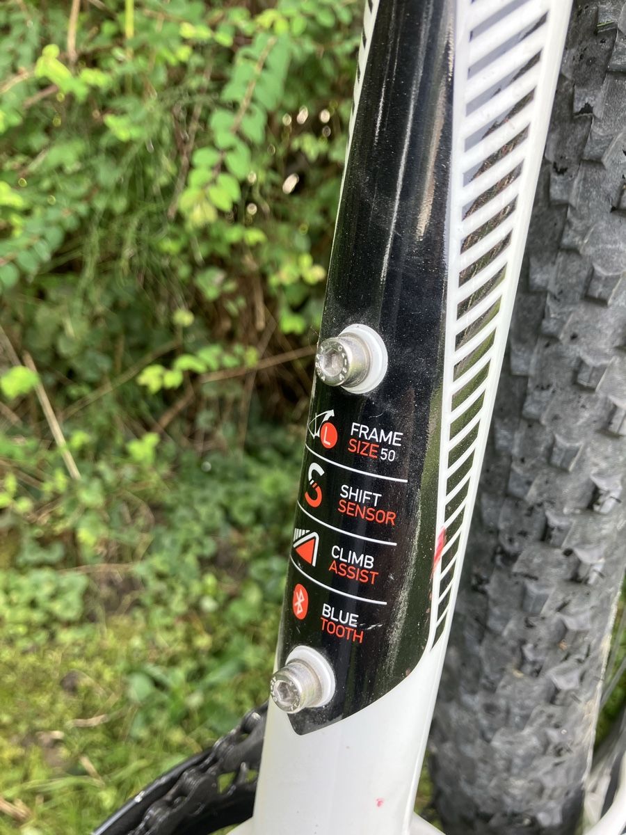 Focus Biciclette: Focus E-Bike für Damen – Usato da Unteriberg venduto da Drummer86 4