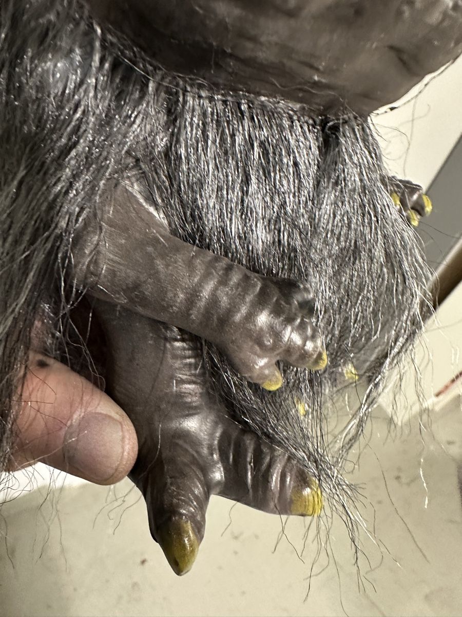 Statuette: 1:1 Critters Puppe lifesize Horror not Sideshow Horror – Usato da Schlieren venduto da Moviepropde 4