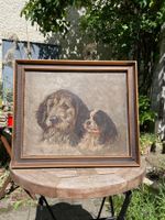 Hunde-Porträt
