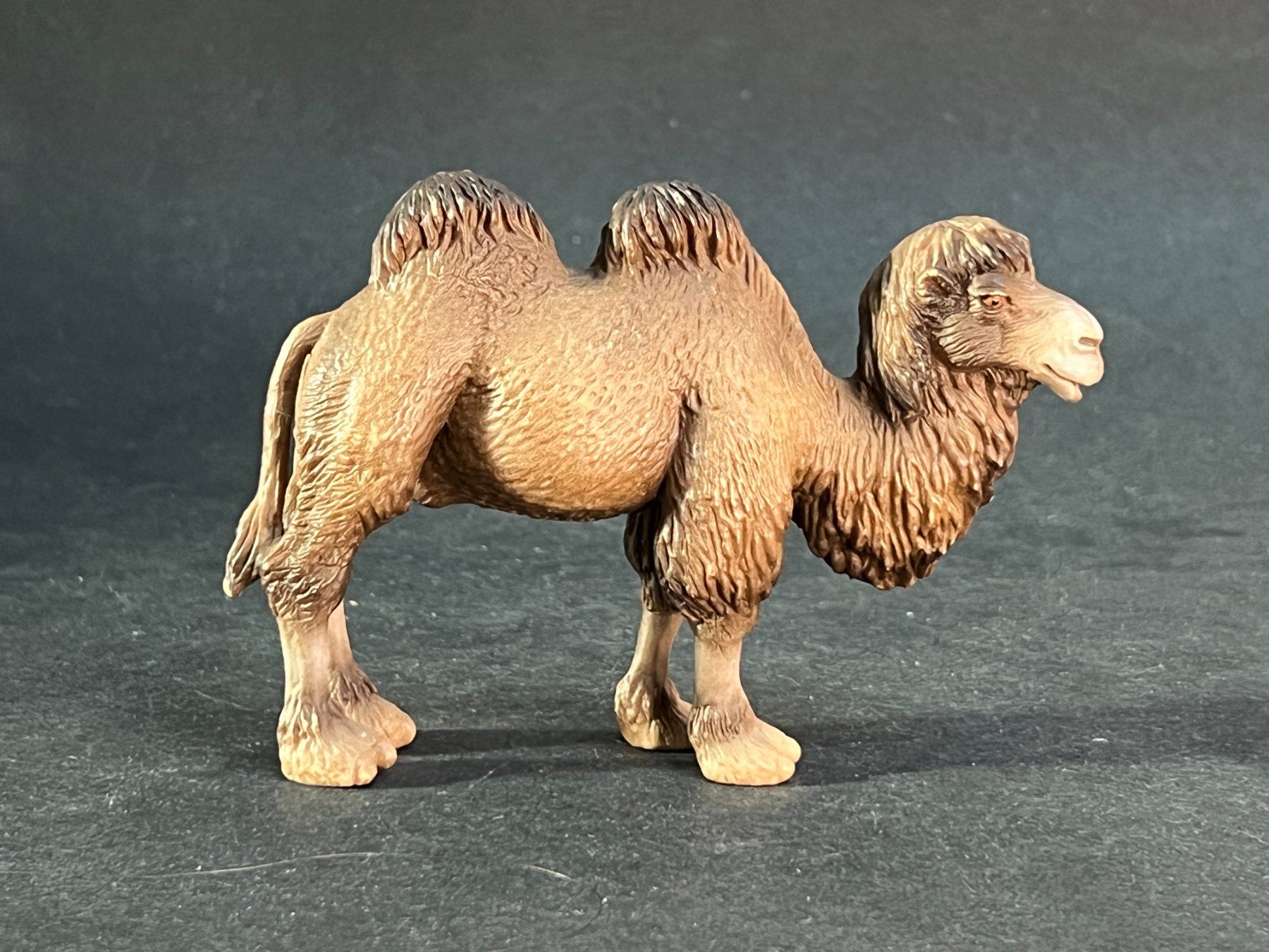 Schleich Statuette: Schleich Trampeltier Rarität Kamel – Usato da Ennetbaden venduto da mapa05
