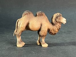 Schleich Trampeltier Rarität Kamel