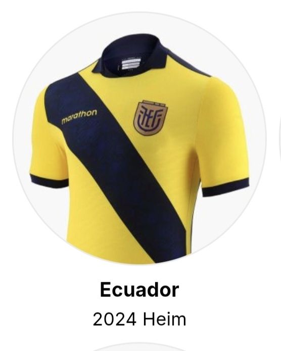 Canottiere & Pantaloni: Marathon 2024 Ecuador Trikot #14 Minda Grösse L  – Nuovo (secondo la descrizione) da St. Gallen venduto da CaliSunshine 7