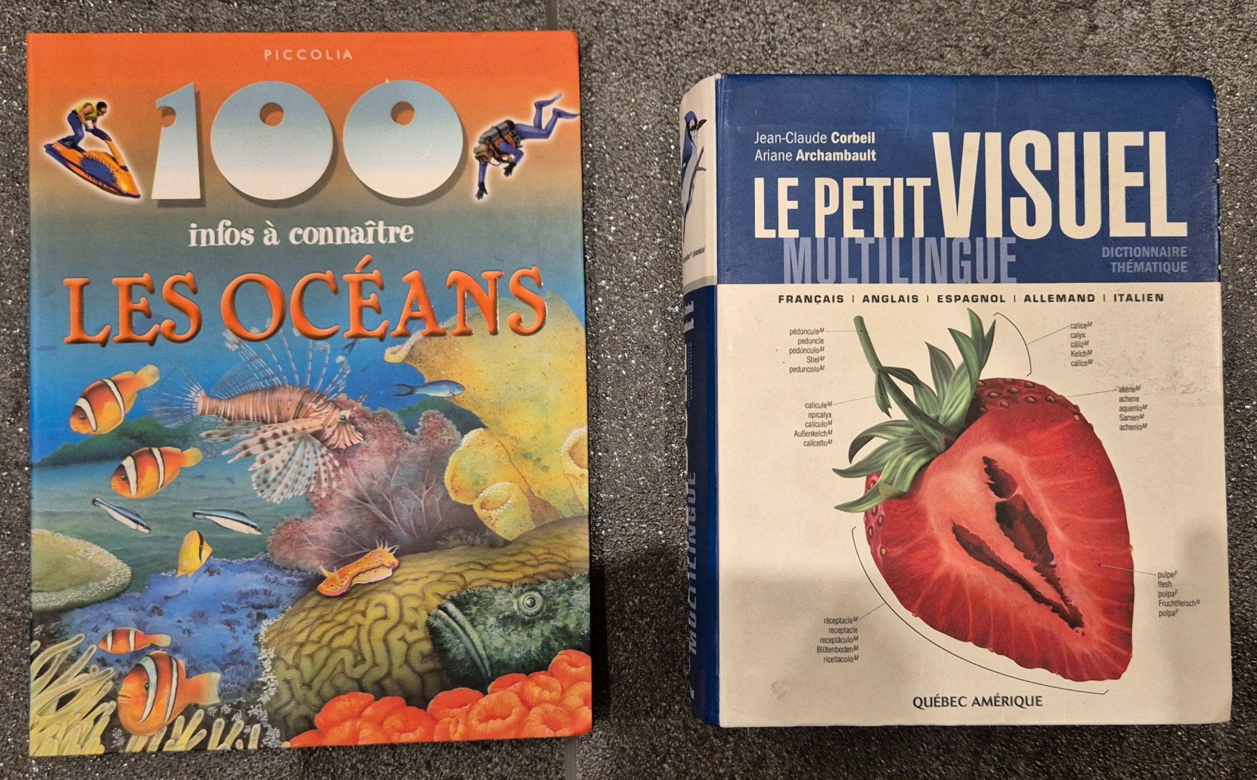 Libri: petit visuel multilingue & 100 infos a connaitre les oceans – Usato da Grüningen venduto da jadranko