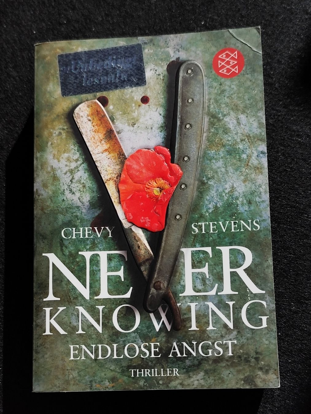 Libri: Chevy Stevens - Endlose Angst Thriller – Usato da Winterthur venduto da nis_l6k5