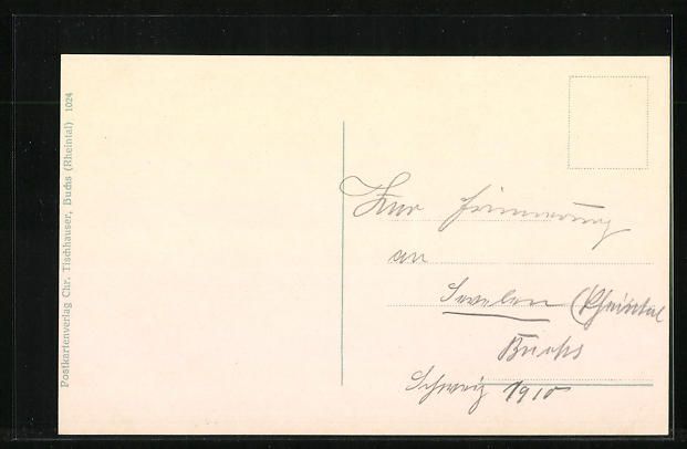 Cartoline postali: Werdenberg bei Buchs, Ortsansicht mit Ru – Usato da Berlin venduto da bartko-reher 1