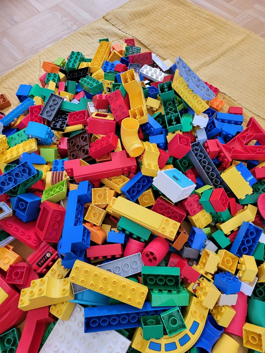 Lego Giocattoli: Lego Duplo 5 kg – Usato da Schneisingen venduto da puppenmaedchen 3