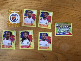 Panini 2026 7er Set HAI