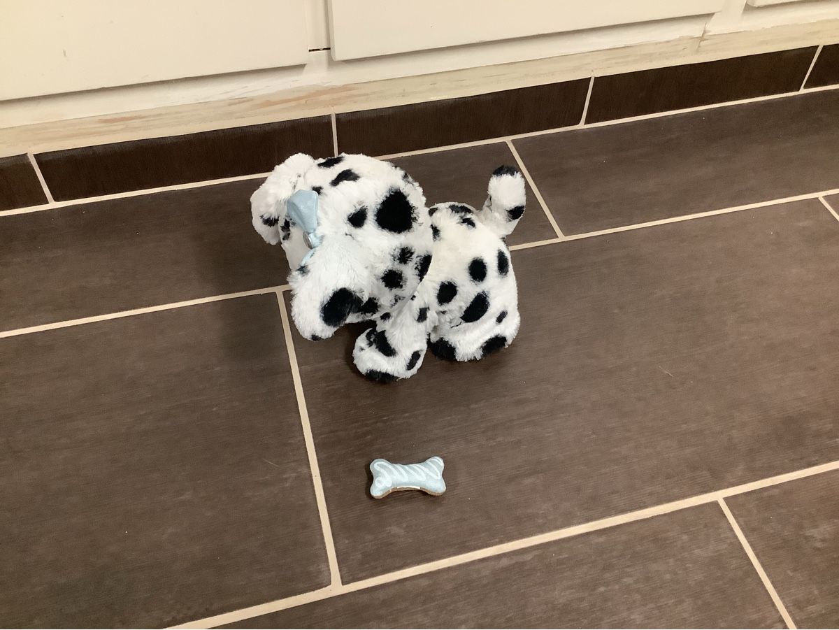 Giocattoli: Present Pets Hund mit Funktionen – Usato da Brugg AG venduto da Sweety_pie 2
