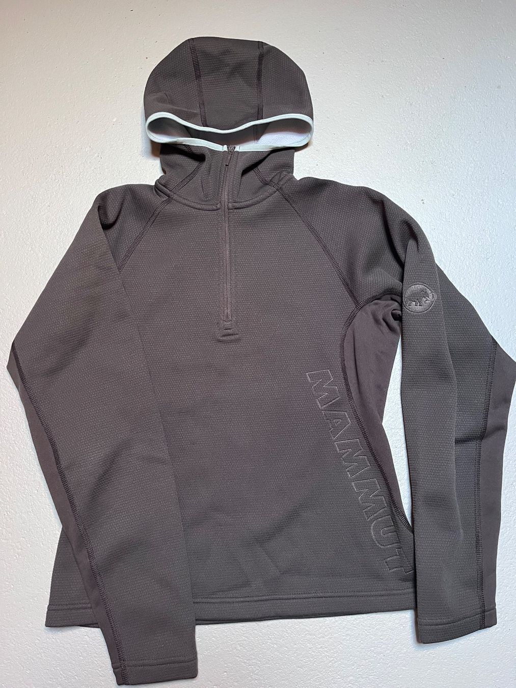 Mammut Maglioni & Felpe: Kapuzenpullover Mammut Grösse S – Usato da Roggwil BE venduto da KarotteV
