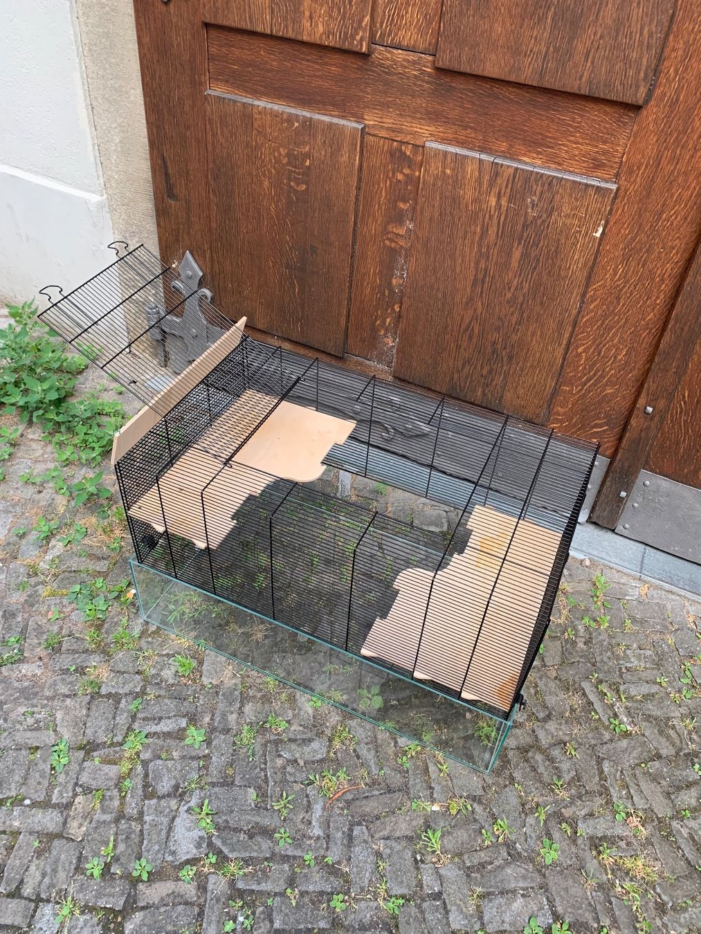 Terrarium: Nagerterrarium mit Gitteraufsatz – Gebraucht aus Bülach von kaj_jsj2 2