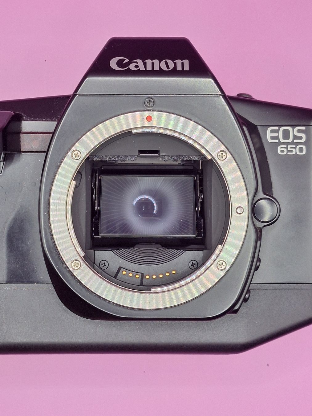 Canon Appareil photo: Canon EOS 650 Body – D'occasion à Pfäffikon SZ par TobyPeterson 1