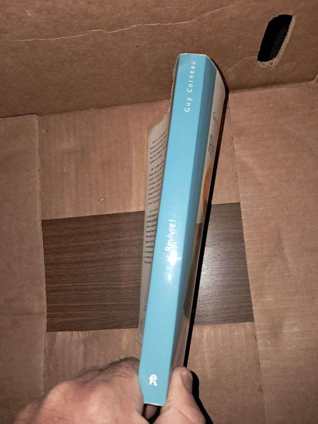 Bücher: Revivre! Livre de Guy Corneau – Gebraucht aus Le locle von juliensaran 3