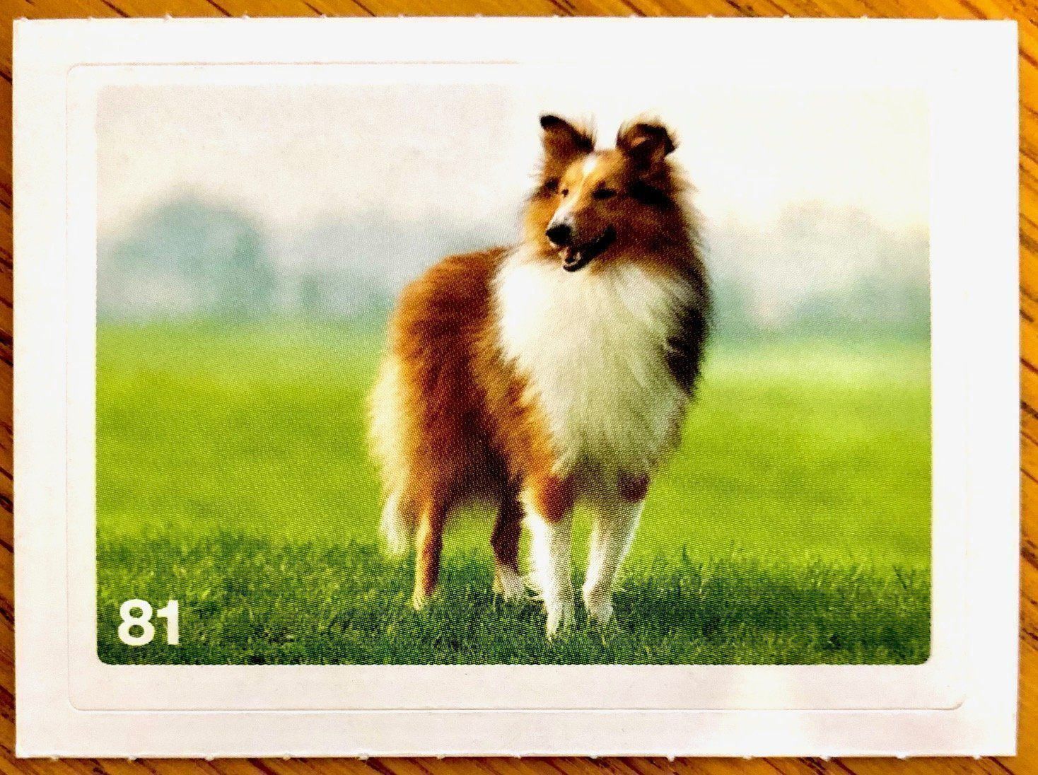 Migros Sammelbilder & Trading cards: Migros Nature Detectives - Bild Nr. 81 – Neu (gemäss Beschreibung) aus Oberrieden von Zimmerberg10