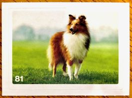 Migros Nature Detectives - Bild Nr. 81