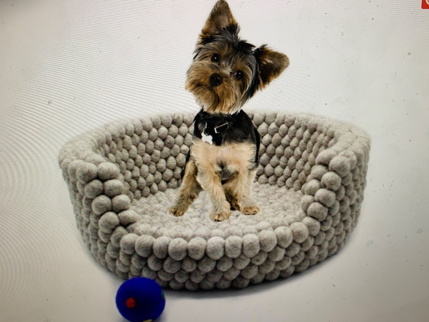 Cucce & Letti: Handgefertigtes Hunde- oder Katzenbett aus Wollfilz, grau – Nuovo e nell'imballaggio originale da Rorschach venduto da charlotte1964 2