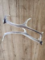 Abwurfstangen Hirsch / Shabby chic Style