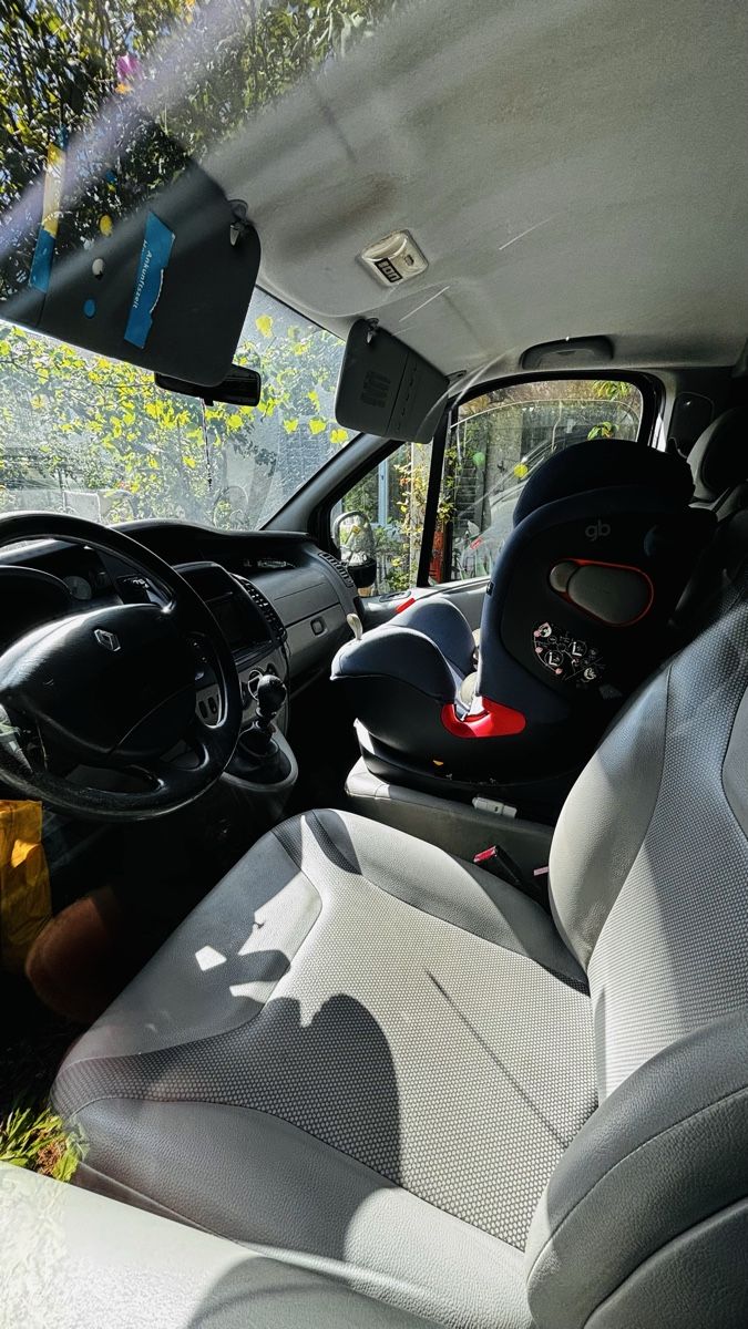 Renault Veicoli commerciali: Renault Trafic 2011 2.5dci – Usato da Frauenfeld venduto da luc_v2k8 3
