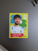 Panini Bild UZB 8
