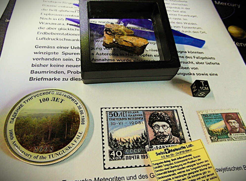 Medaglie: Tunguska Borke / Baumrinde  +  Briefmarke UDSSR + Medaille – Nuovo (secondo la descrizione) da Lengnau BE venduto da Lanthemann