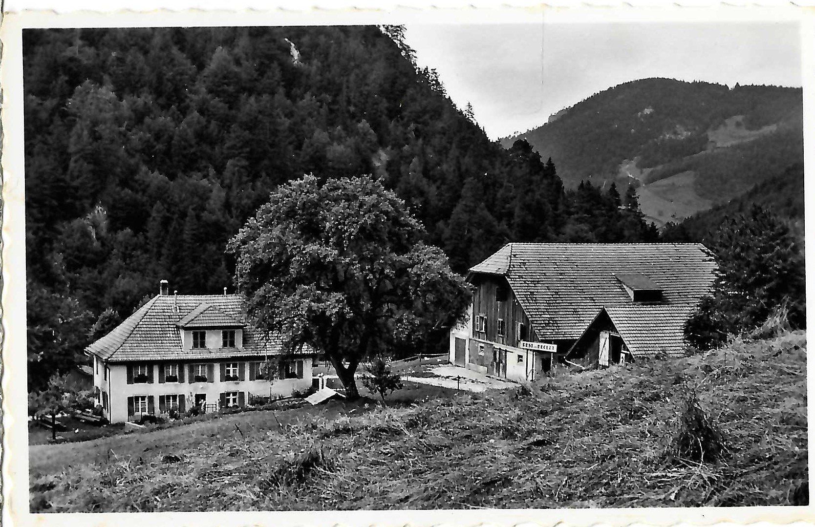 Cartoline postali: Seehof BE Bächlen Restaurant , ca.1950 – Usato da Solothurn venduto da Bepposol