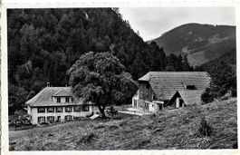 Seehof BE Bächlen Restaurant , ca.1950