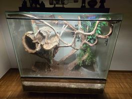 Terrarium