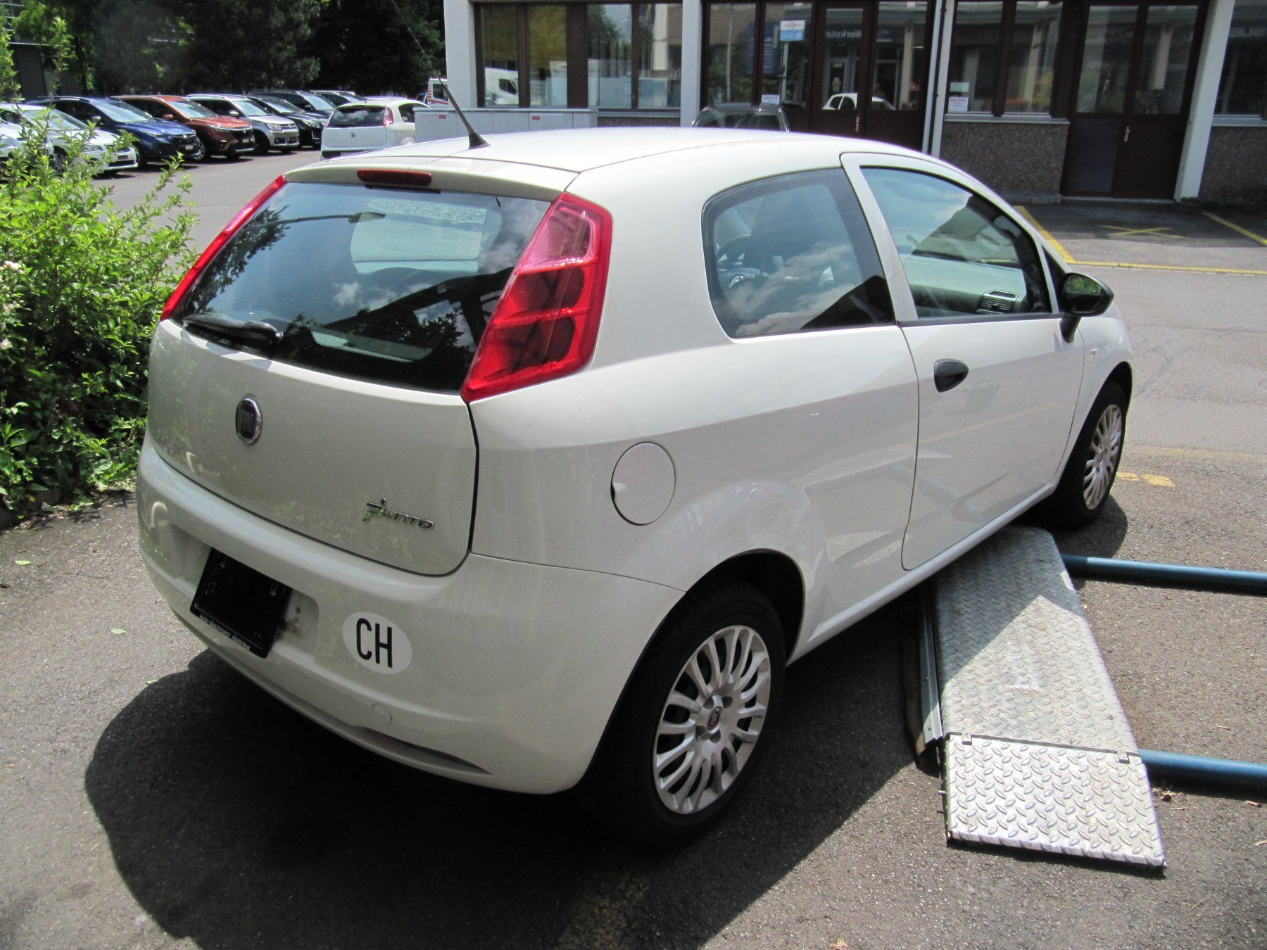 Fiat Automobili: Fiat Punto 1.2 8V ab MFK 2025 – Usato da Rotkreuz venduto da auto-bachmann 2
