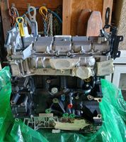 Neuer Ford Ranger 2.0 Motor AX9WA