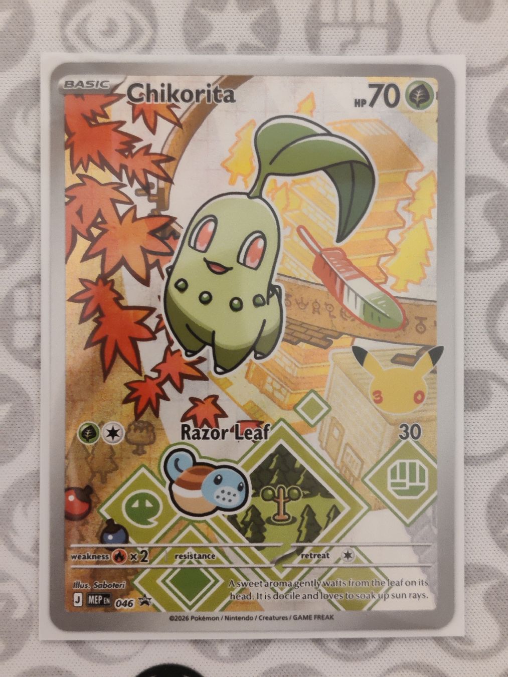 Pokémon Carte collezionabili: #3 Pokémon Starter Johto EN – Nuovo (secondo la descrizione) da Steffisburg venduto da HMStufi 3