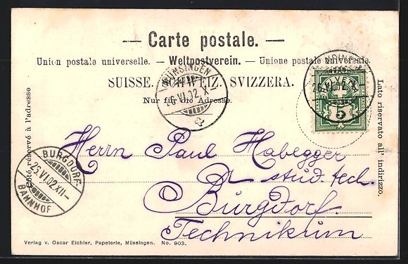 Cartoline postali: Münsingen, Schloss, Blick auf die Irren – Usato da Berlin venduto da bartko-reher 1