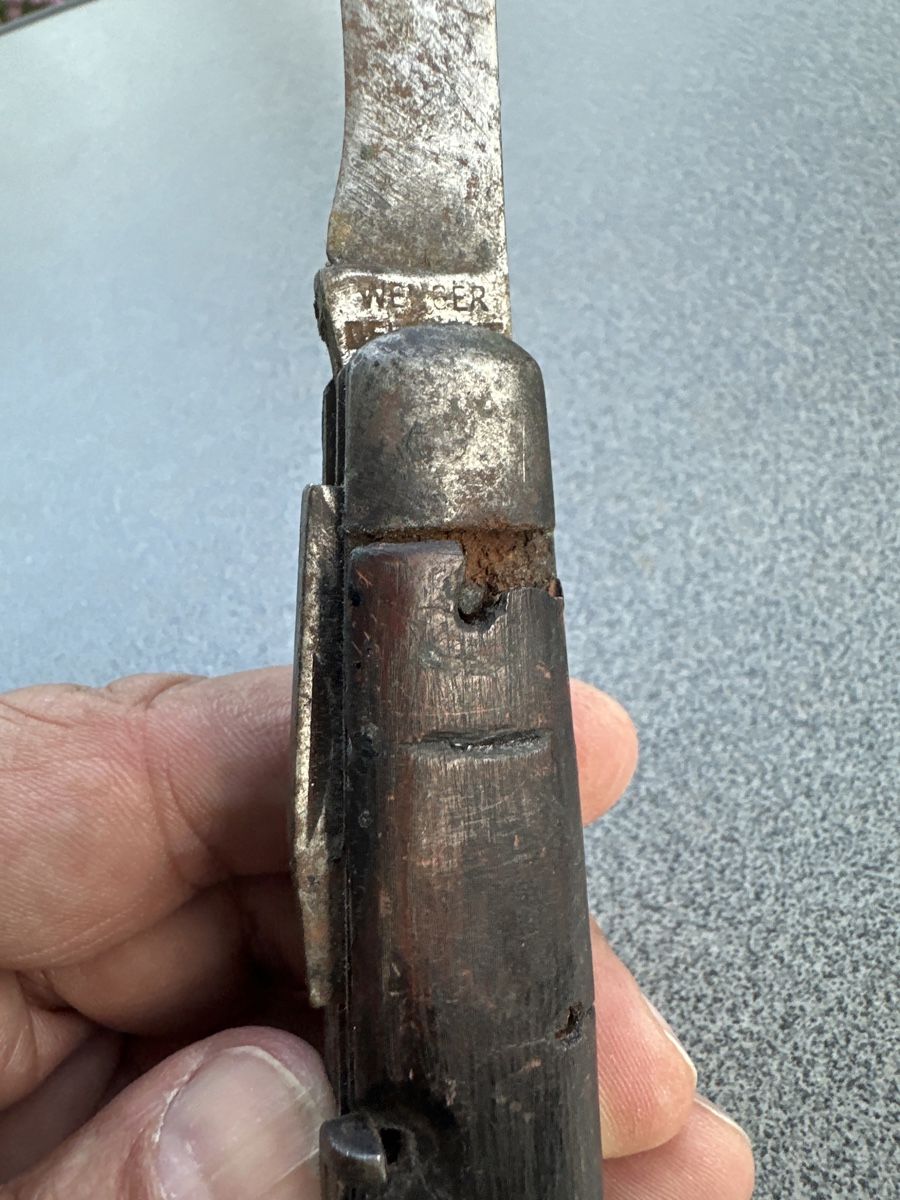 Wenger Taschenmesser: Wenger Delemont 1931 – Gebraucht aus Morbio Inferiore von Ecod 3