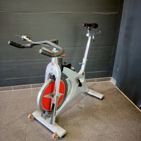 Spinning Bike Schwinn Evolution SR guter Zustand