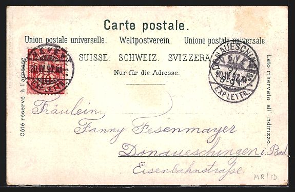 Cartes postales: Litho Vevey, Vue generale, Costume vando – D'occasion à Berlin par bartko-reher 1