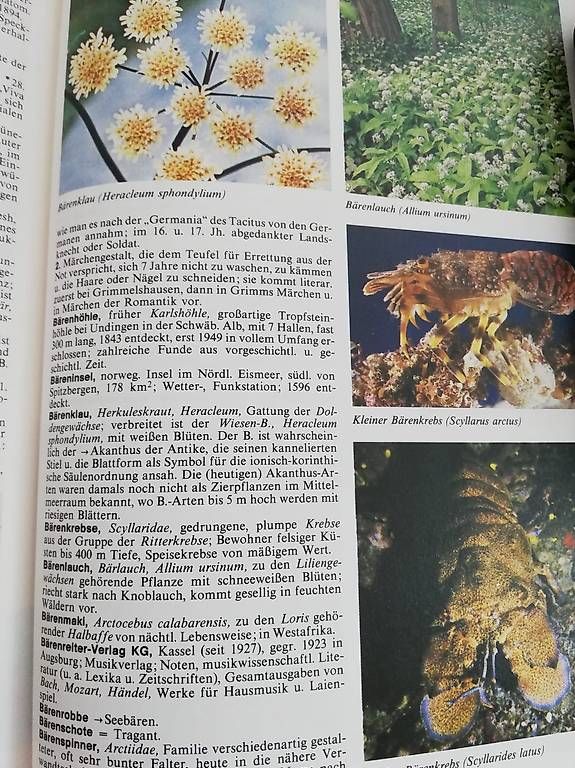 Libri: Lexikon Sammlung – Usato da Rothenburg venduto da Priska_70 3