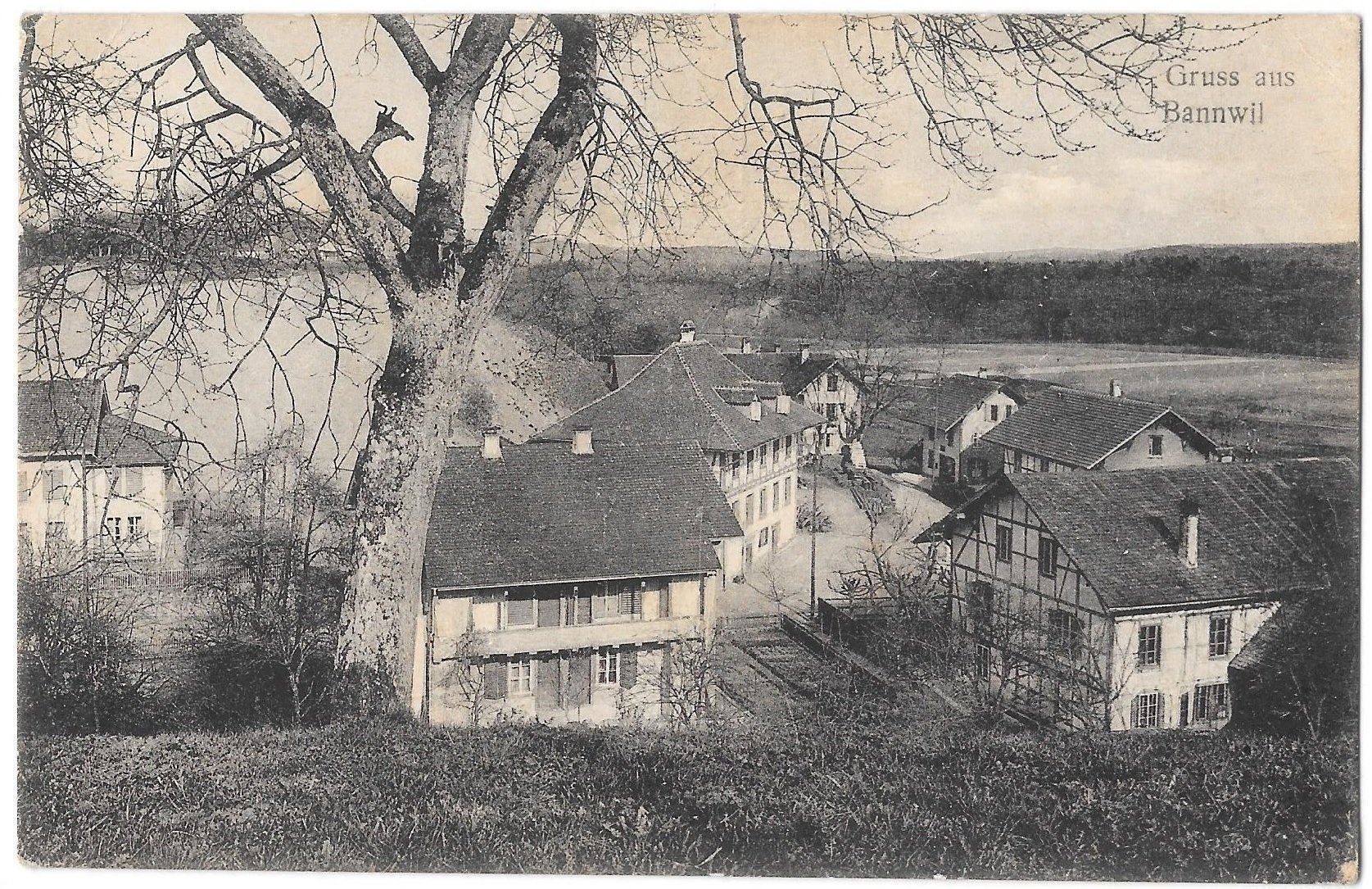 Cartoline postali: Bannwil Teilansicht – Usato da Olten venduto da clotaldi