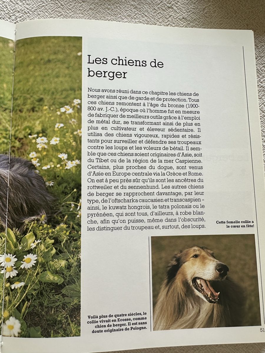 Libri: Le chien – Usato da Les Bioux venduto da ann_g9bh 6