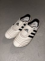 adidas taekwondo