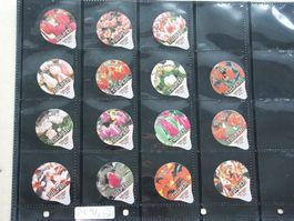 Serie    PS  9 / 02    Tulpen          AZM  Gastro