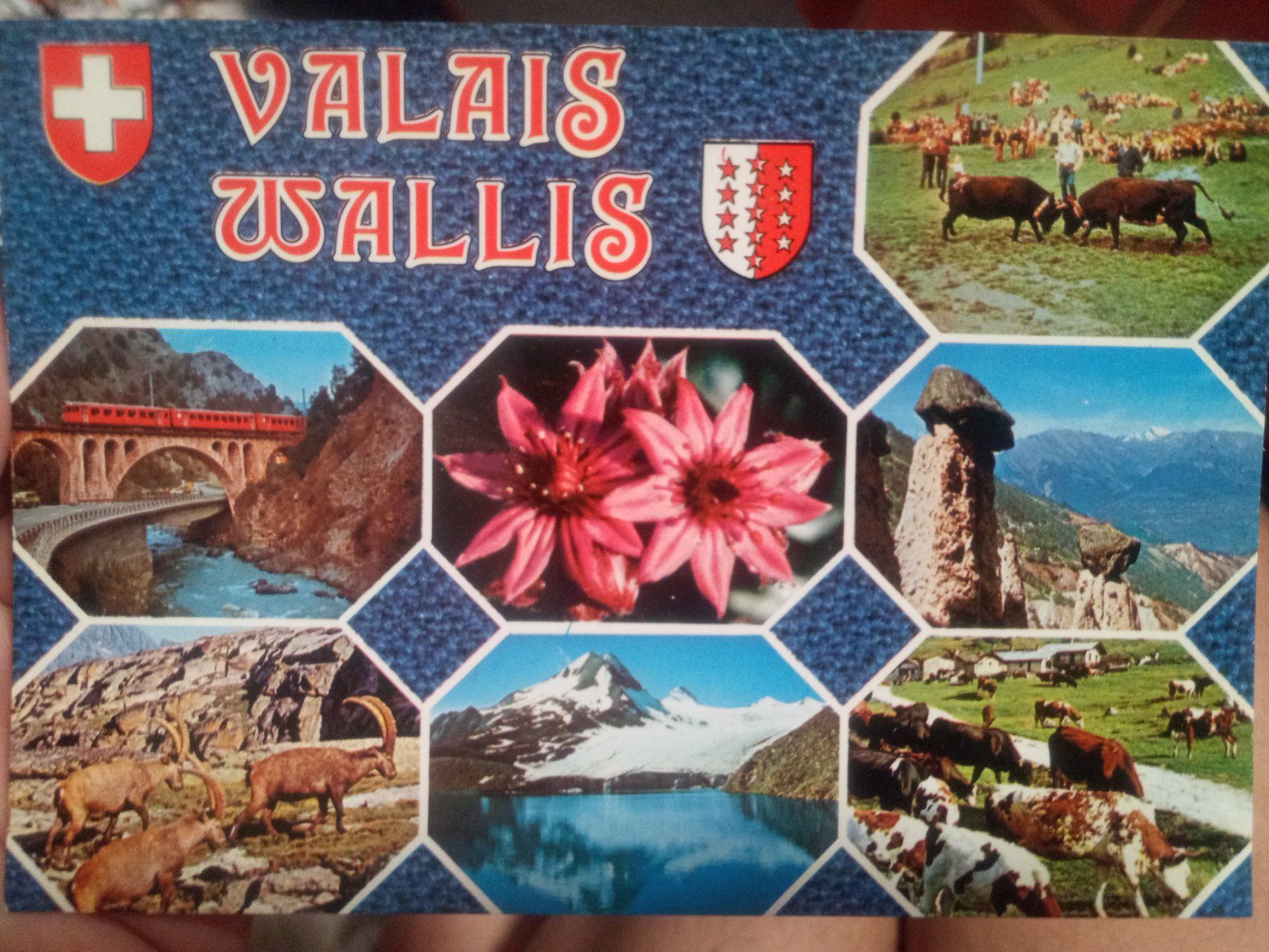Cartoline postali: carte postale du Valais – Nuovo (secondo la descrizione) da Sion venduto da Stefan1938