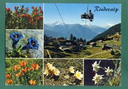 Riederalp, 6 Ansichten, 1979, gelaufen, Grossformat