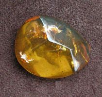♥ DOMINIKANISCHER BERNSTEIN CABOCHON ♥