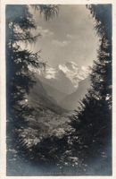 Die Jungfrau
