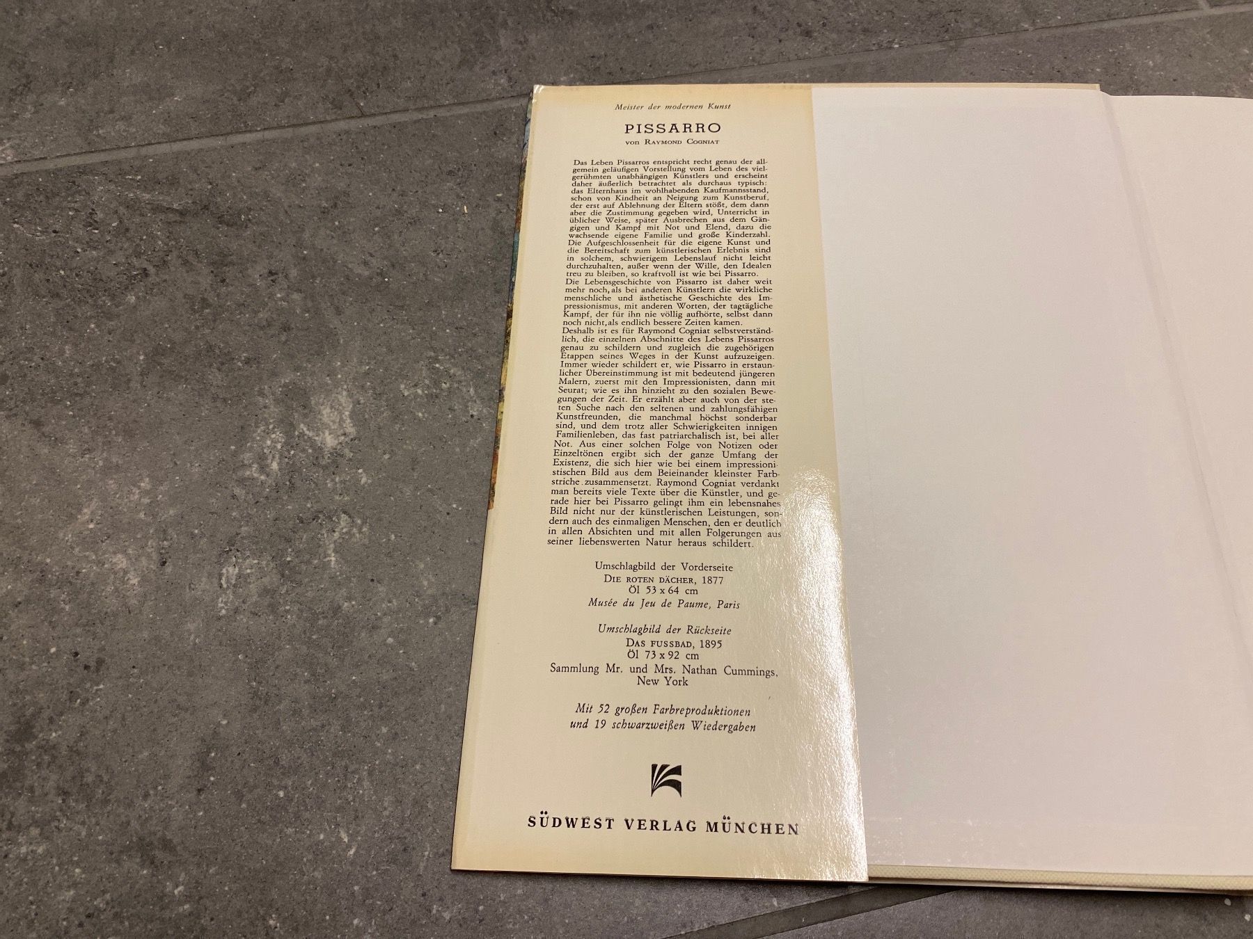 Libri: Pissaro Kunstbuch – Usato da Bülach venduto da Jackybabue 2