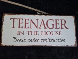 Blechschild Teenager in the House Brain under construction