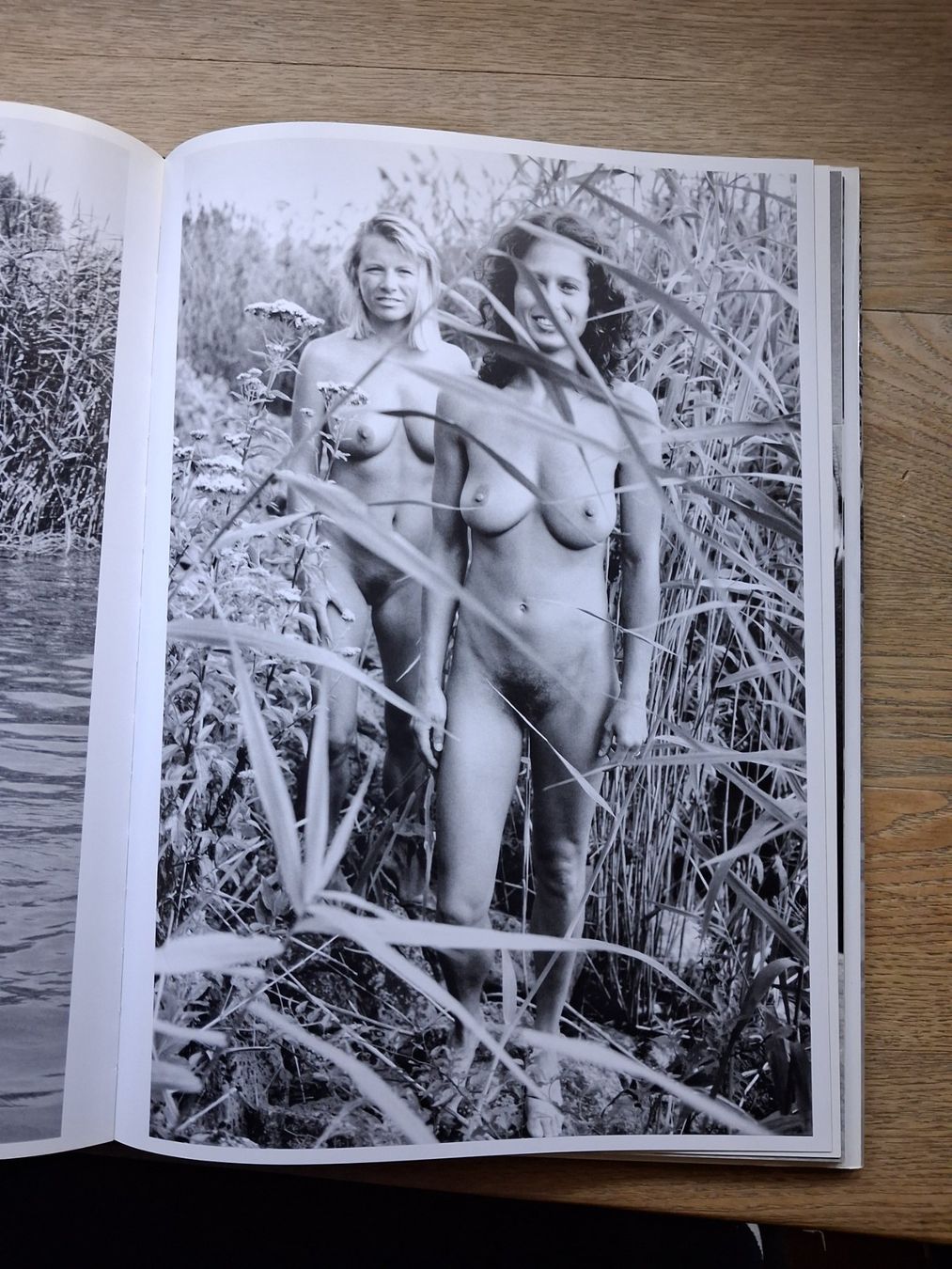 Libri: Michael von Graffenried Nackt im Paradies selten – Usato da Welschenrohr venduto da Regool 3
