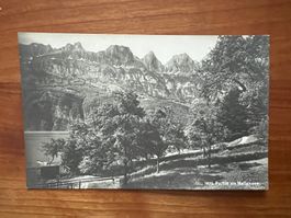 AK  1915 Wallensee  (G2779)